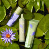 Echosline No Yellow Shampoo - Afbeelding 3
